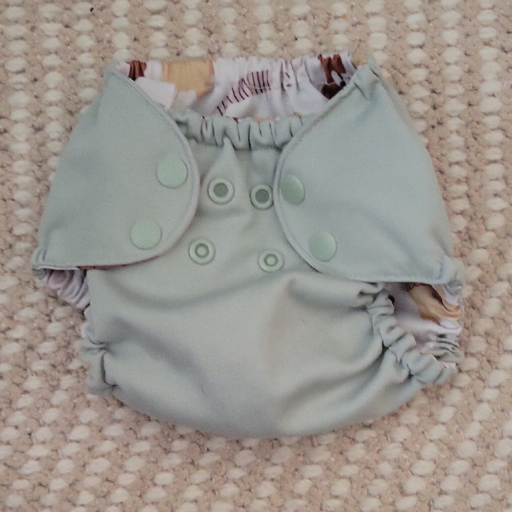 Esembly Cloth Diaper Cover EUC - Size 1